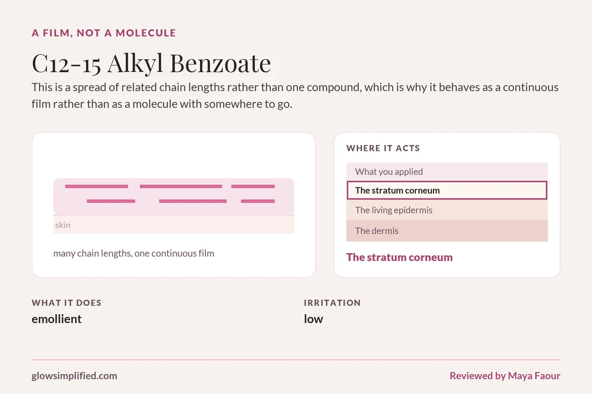 C12-15 Alkyl Benzoate: A film, not a molecule. This is a spread of related chain lengths rather than one compound, which is why it behaves as a continuous film rather than as a molecule with somewhere to go.