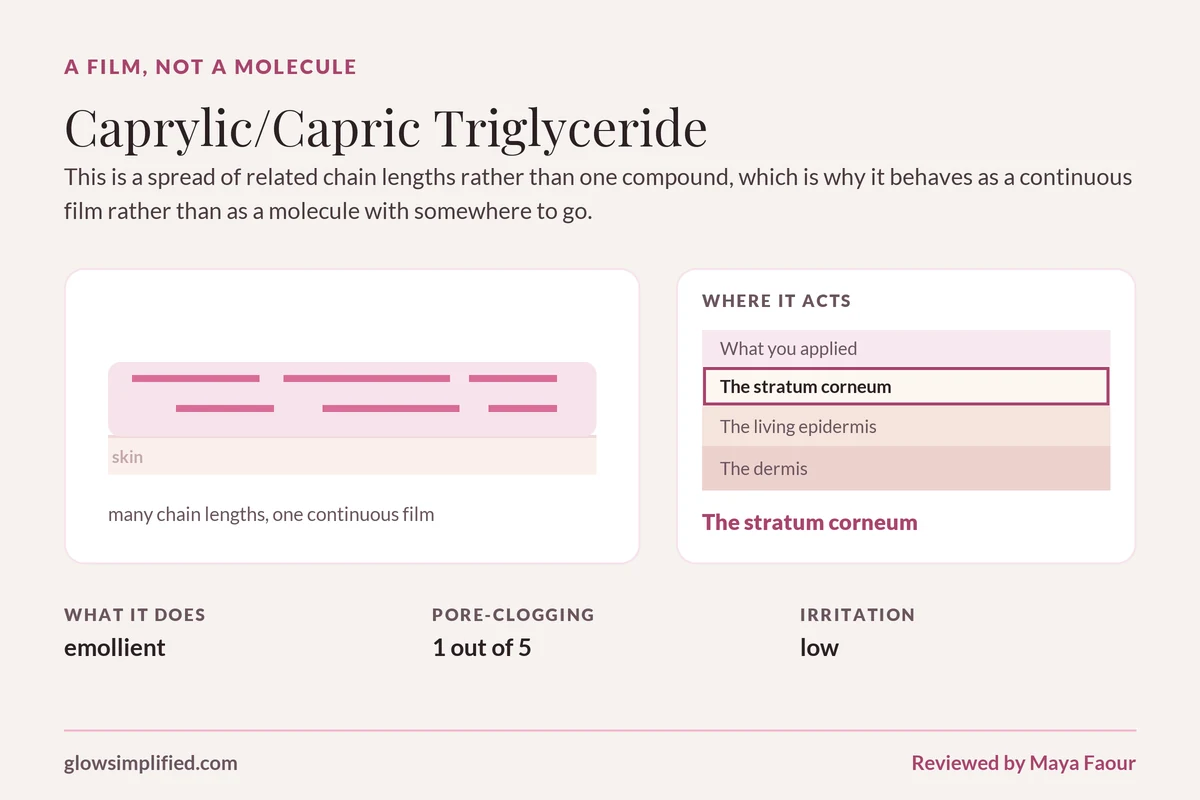 Caprylic/Capric Triglyceride: A film, not a molecule. This is a spread of related chain lengths rather than one compound, which is why it behaves as a continuous film rather than as a molecule with somewhere to go.