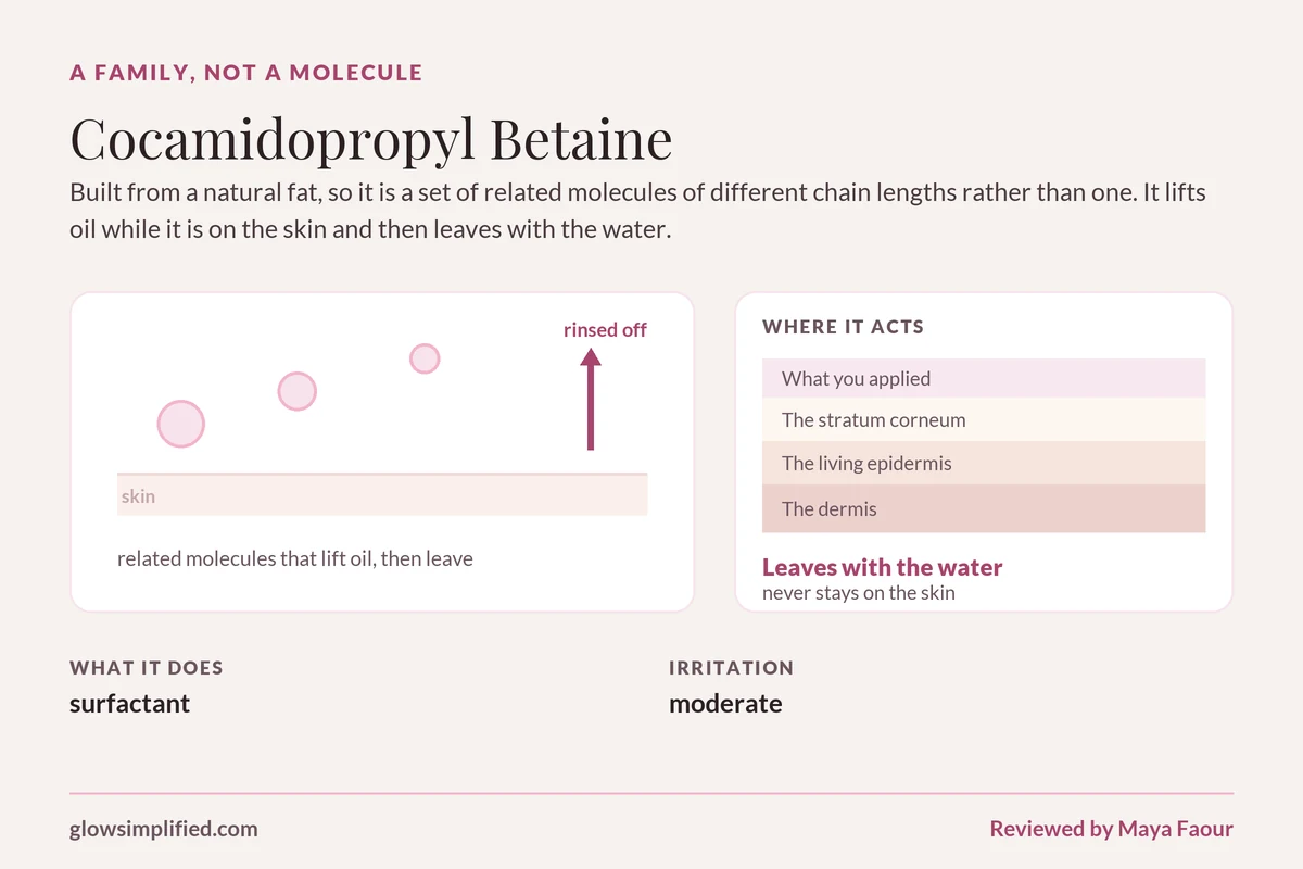 Cocamidopropyl Betaine: A family, not a molecule. Built from a natural fat, so it is a set of related molecules of different chain lengths rather than one. It lifts oil while it is on the skin and then leaves with the water.