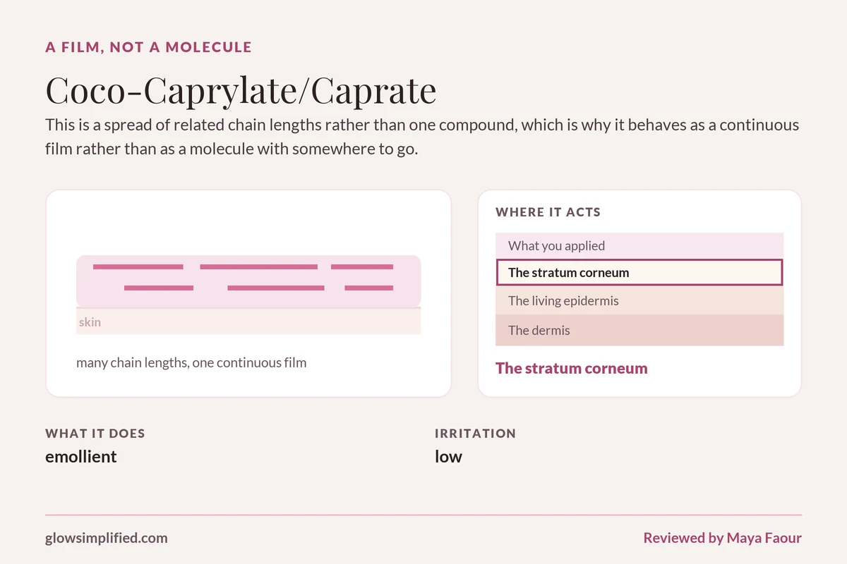 Coco-Caprylate/Caprate: A film, not a molecule. This is a spread of related chain lengths rather than one compound, which is why it behaves as a continuous film rather than as a molecule with somewhere to go.