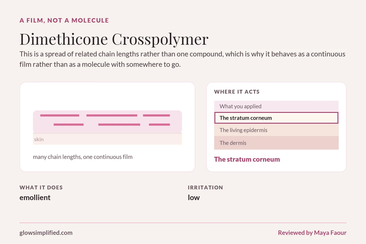 Dimethicone Crosspolymer: A film, not a molecule. This is a spread of related chain lengths rather than one compound, which is why it behaves as a continuous film rather than as a molecule with somewhere to go.