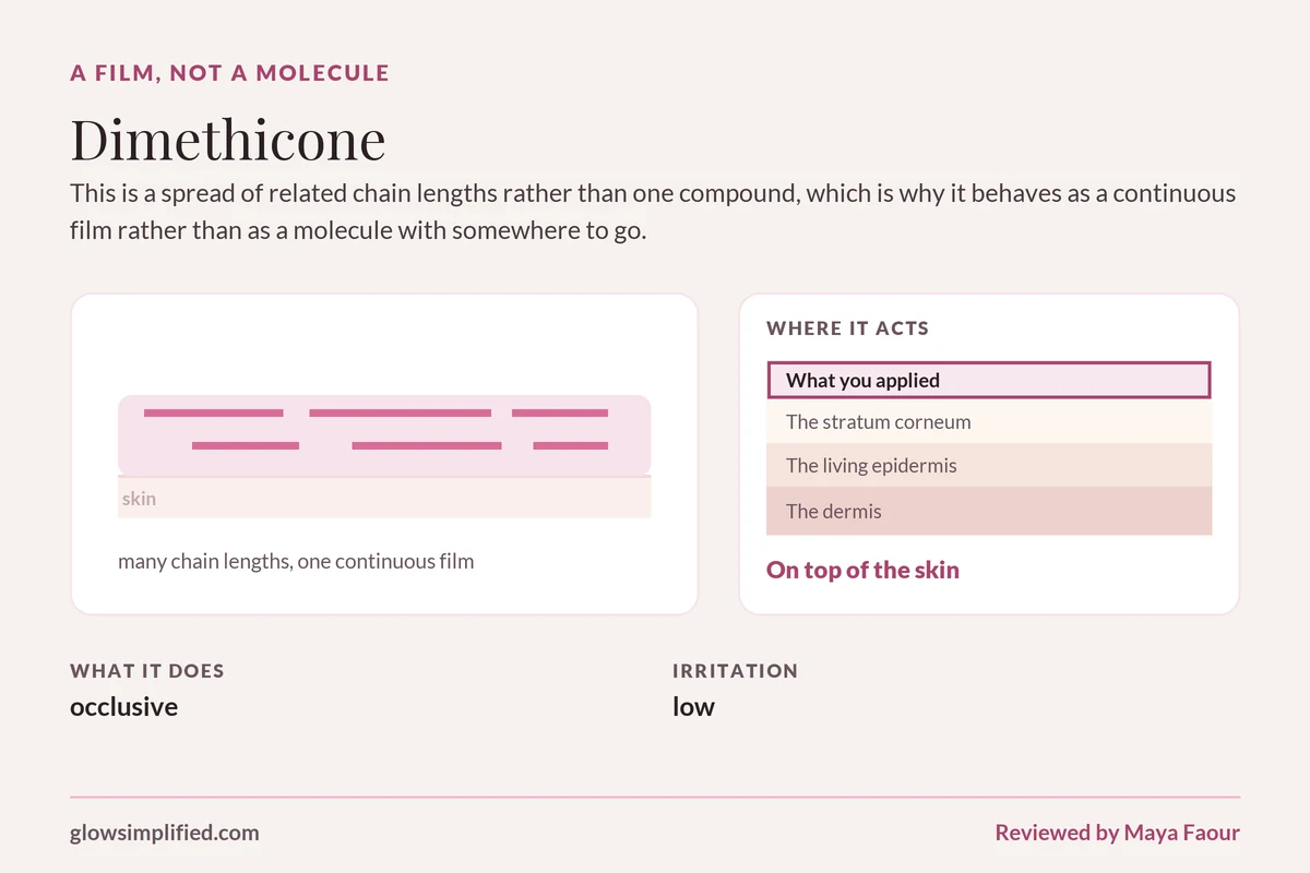 Dimethicone: A film, not a molecule. This is a spread of related chain lengths rather than one compound, which is why it behaves as a continuous film rather than as a molecule with somewhere to go.