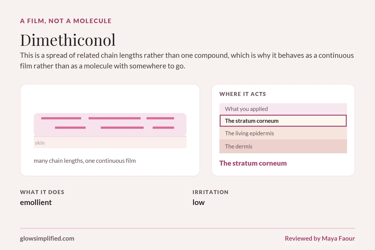 Dimethiconol: A film, not a molecule. This is a spread of related chain lengths rather than one compound, which is why it behaves as a continuous film rather than as a molecule with somewhere to go.