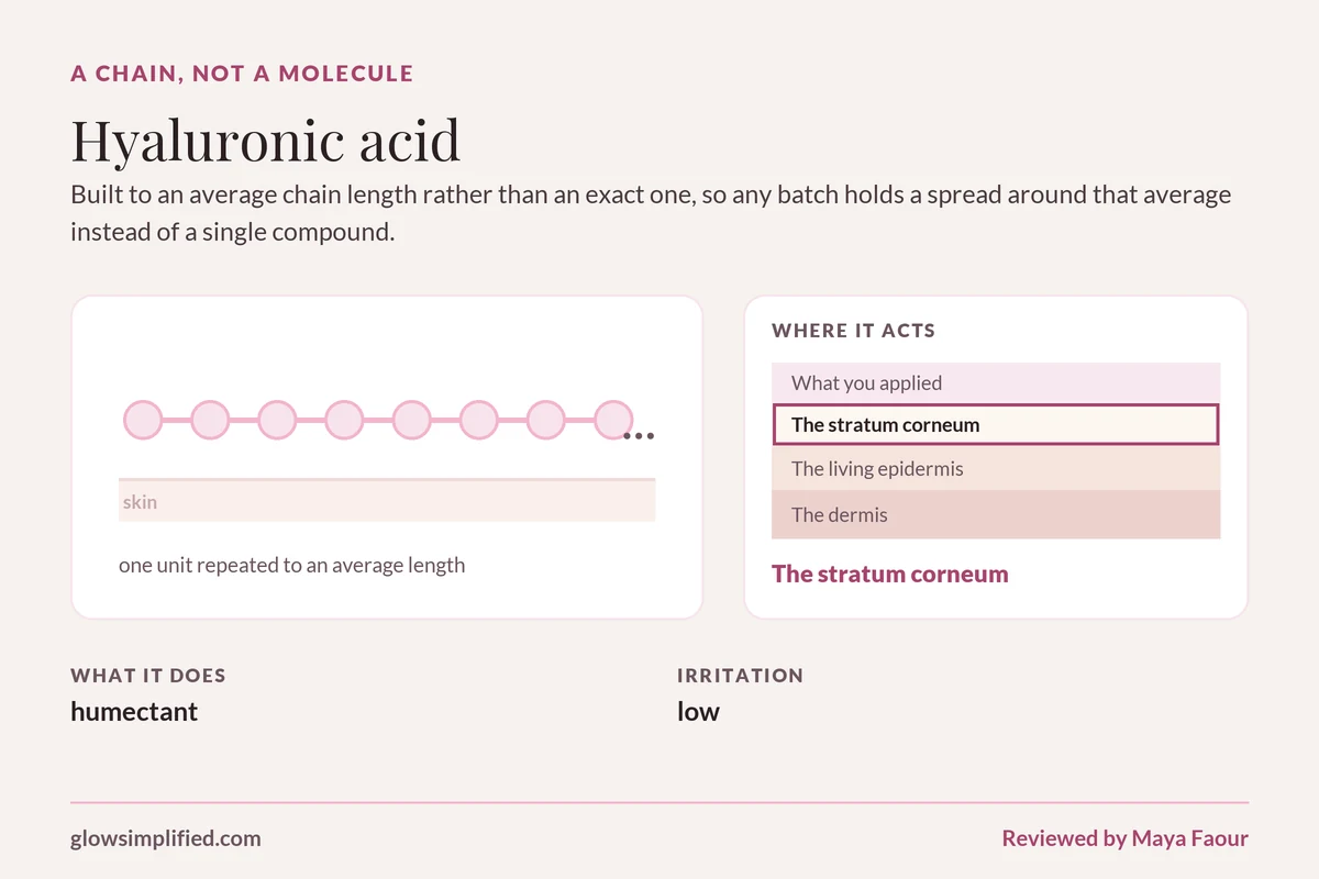 Hyaluronic acid: A chain, not a molecule. Built to an average chain length rather than an exact one, so any batch holds a spread around that average instead of a single compound.