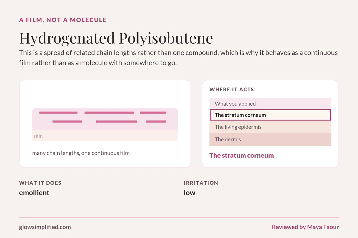 Hydrogenated Polyisobutene: A film, not a molecule. This is a spread of related chain lengths rather than one compound, which is why it behaves as a continuous film rather than as a molecule with somewhere to go.