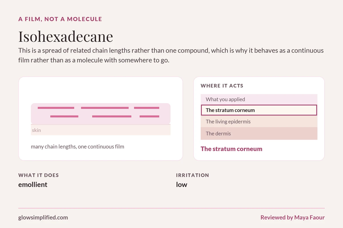 Isohexadecane: A film, not a molecule. This is a spread of related chain lengths rather than one compound, which is why it behaves as a continuous film rather than as a molecule with somewhere to go.