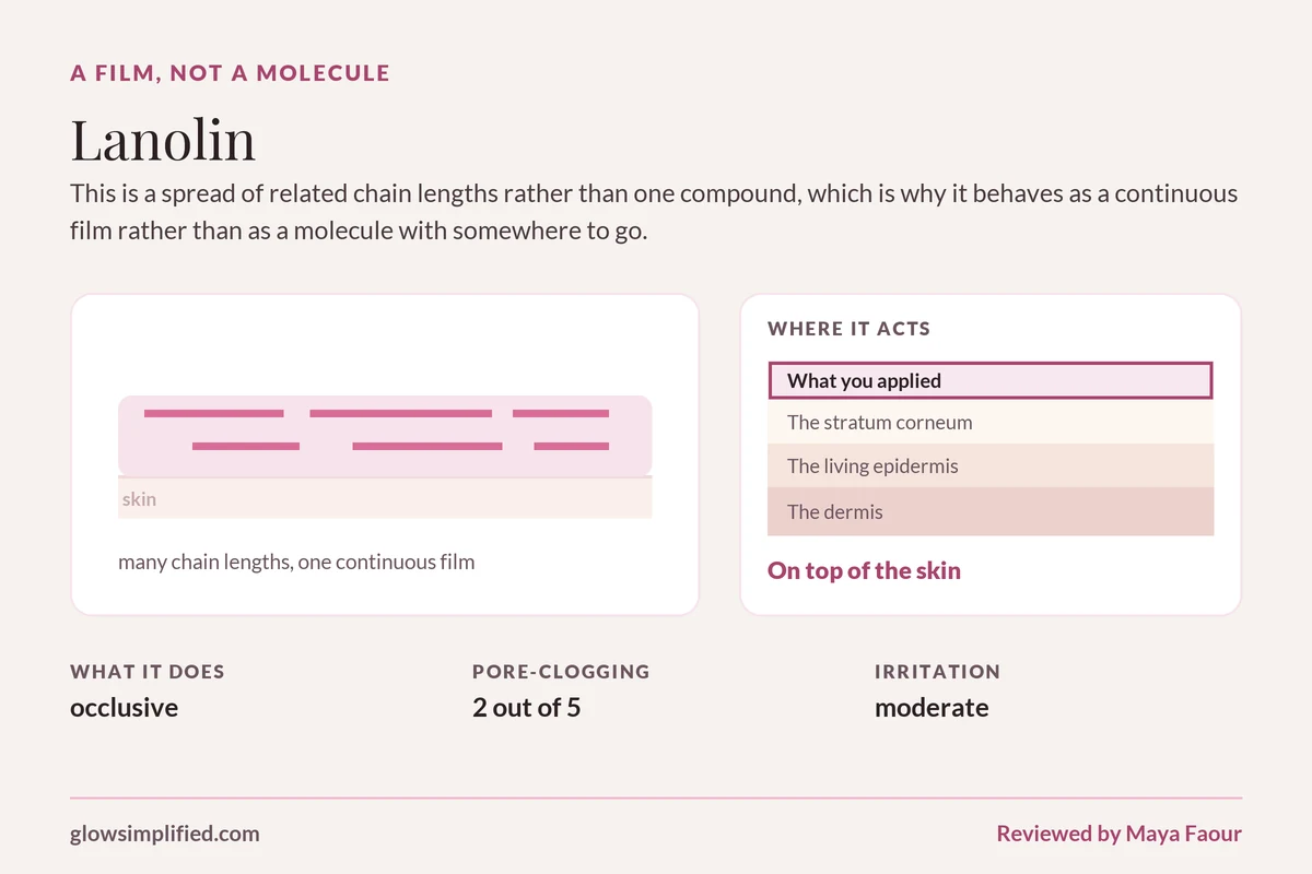 Lanolin: A film, not a molecule. This is a spread of related chain lengths rather than one compound, which is why it behaves as a continuous film rather than as a molecule with somewhere to go.