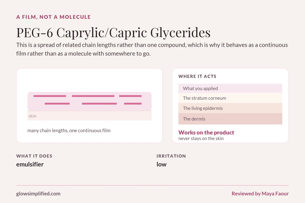 PEG-6 Caprylic/Capric Glycerides: A film, not a molecule. This is a spread of related chain lengths rather than one compound, which is why it behaves as a continuous film rather than as a molecule with somewhere to go.