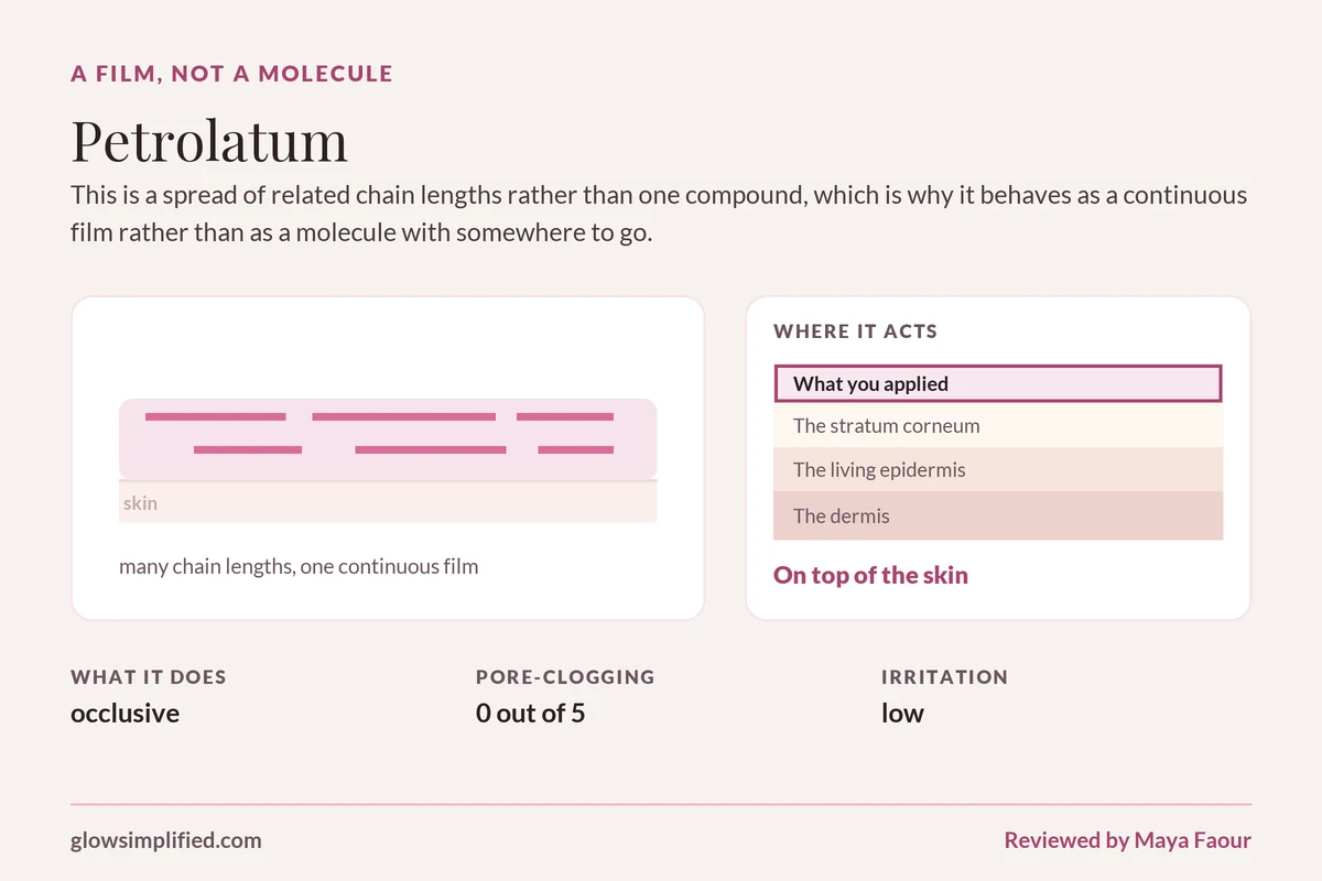 Petrolatum: A film, not a molecule. This is a spread of related chain lengths rather than one compound, which is why it behaves as a continuous film rather than as a molecule with somewhere to go.