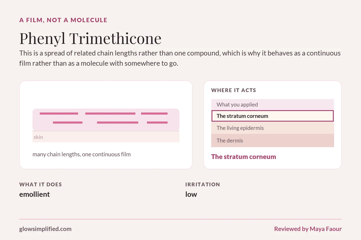 Phenyl Trimethicone: A film, not a molecule. This is a spread of related chain lengths rather than one compound, which is why it behaves as a continuous film rather than as a molecule with somewhere to go.