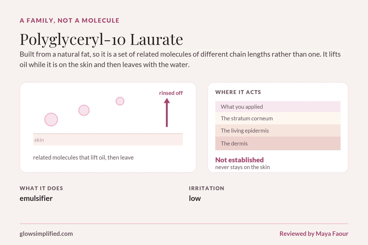 Polyglyceryl-10 Laurate: A family, not a molecule. Built from a natural fat, so it is a set of related molecules of different chain lengths rather than one. It lifts oil while it is on the skin and then leaves with the water.