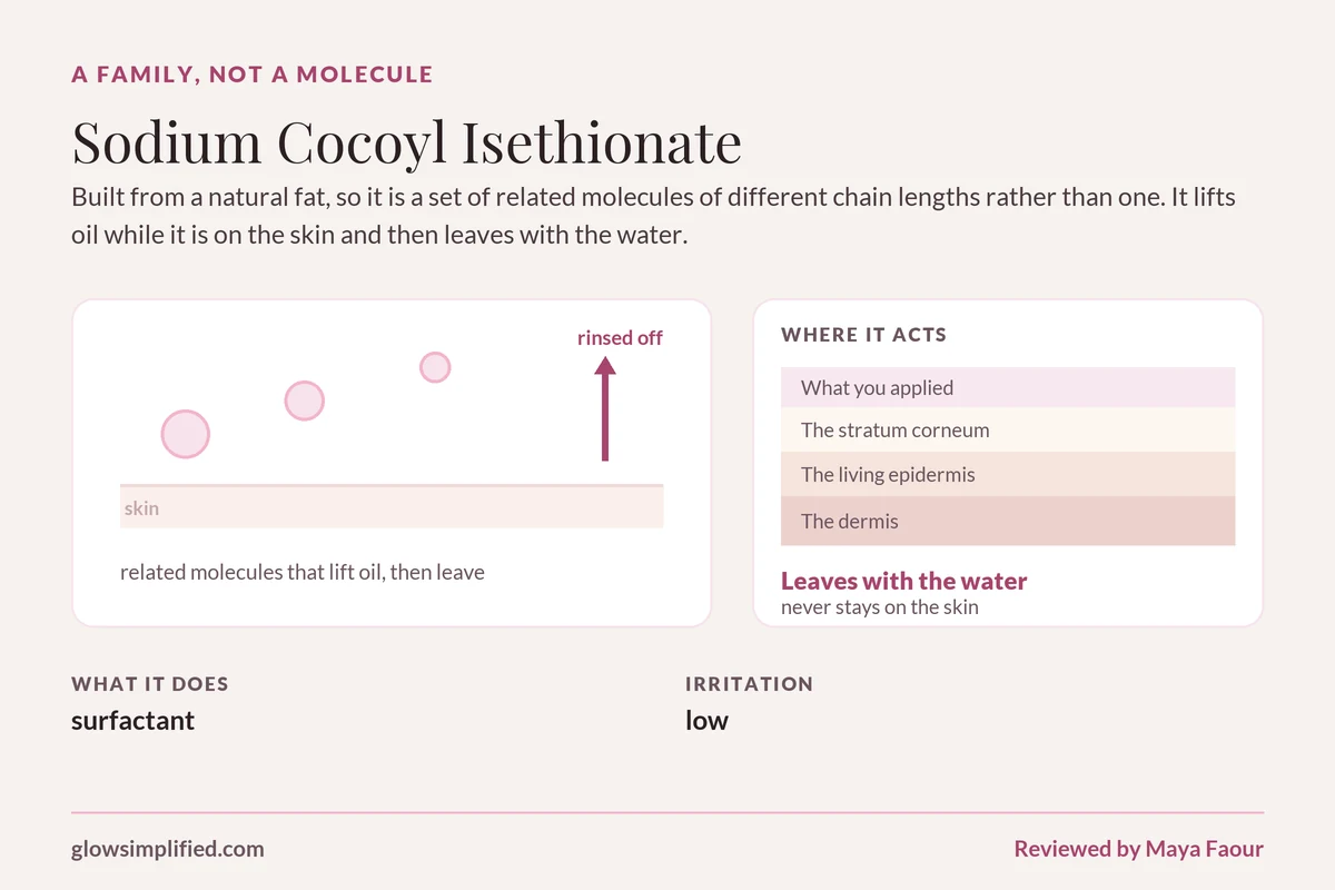 Sodium Cocoyl Isethionate: A family, not a molecule. Built from a natural fat, so it is a set of related molecules of different chain lengths rather than one. It lifts oil while it is on the skin and then leaves with the water.