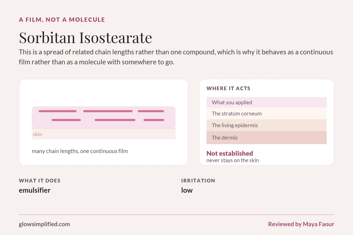 Sorbitan Isostearate: A film, not a molecule. This is a spread of related chain lengths rather than one compound, which is why it behaves as a continuous film rather than as a molecule with somewhere to go.