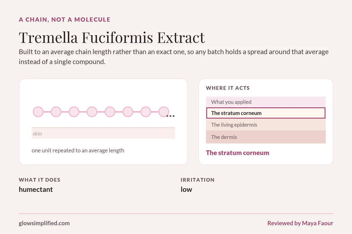 Tremella Fuciformis Extract: A chain, not a molecule. Built to an average chain length rather than an exact one, so any batch holds a spread around that average instead of a single compound.