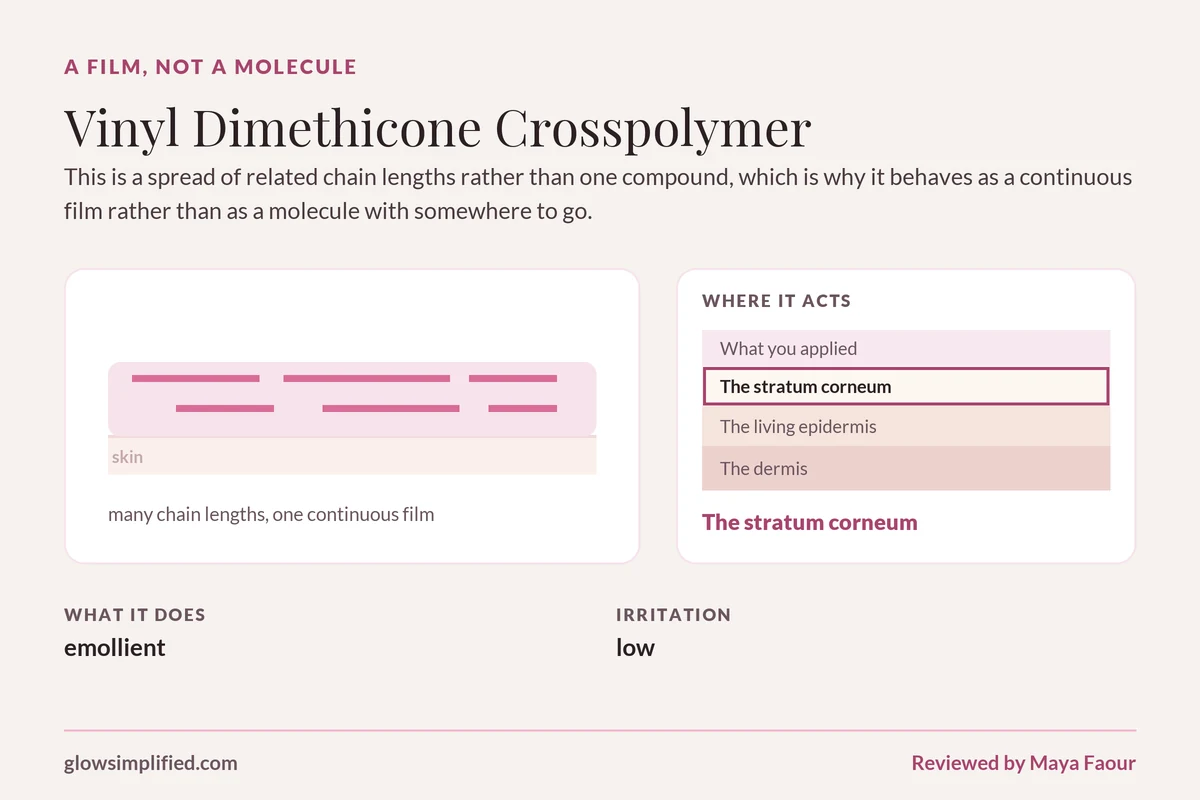 Vinyl Dimethicone Crosspolymer: A film, not a molecule. This is a spread of related chain lengths rather than one compound, which is why it behaves as a continuous film rather than as a molecule with somewhere to go.