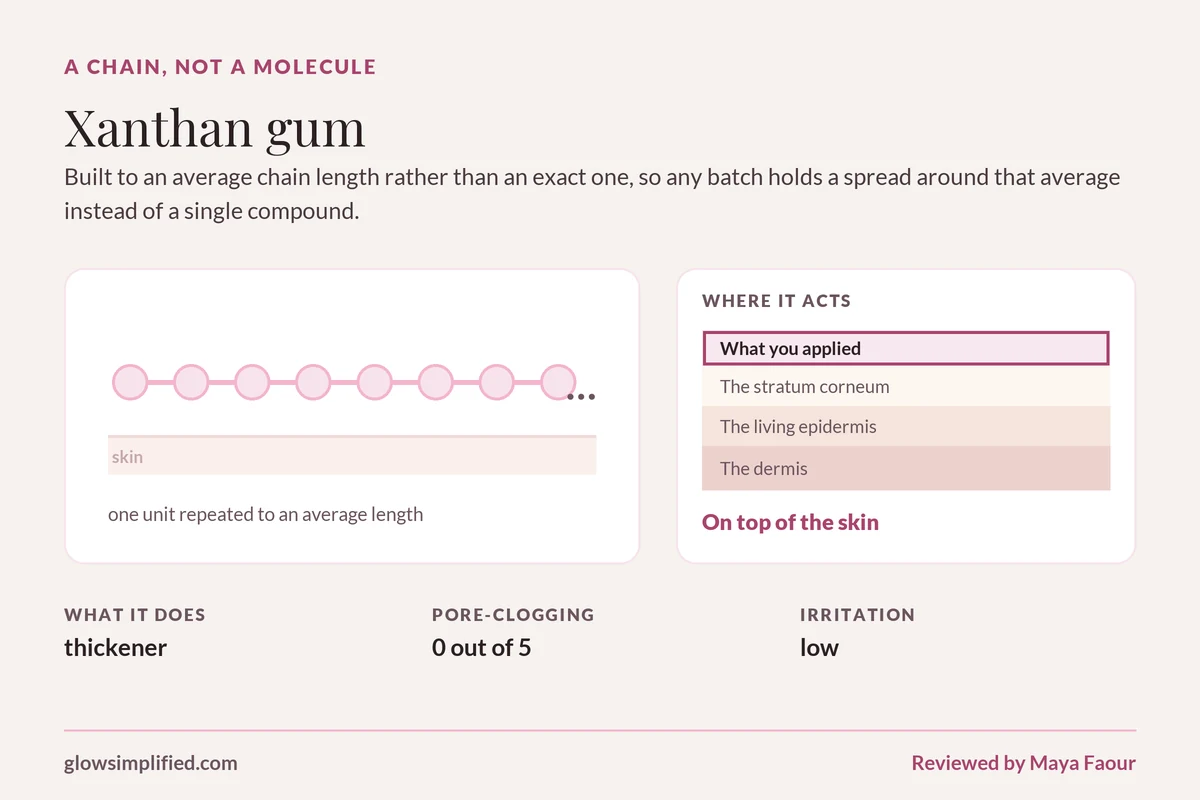 Xanthan gum: A chain, not a molecule. Built to an average chain length rather than an exact one, so any batch holds a spread around that average instead of a single compound.