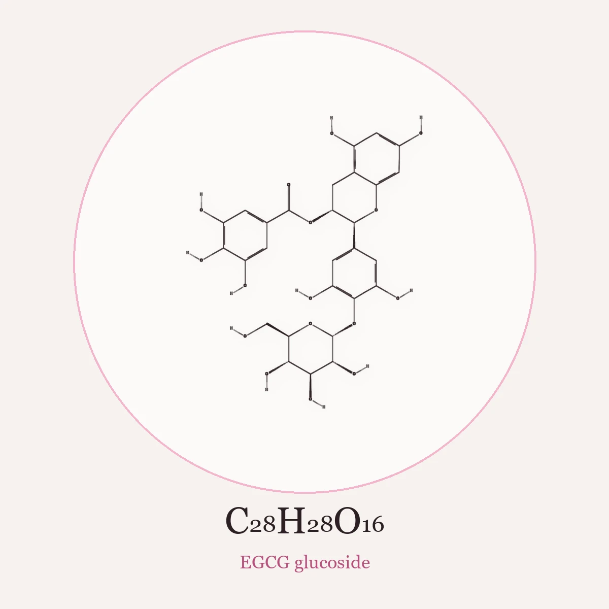 Chemical structure of EGCG glucoside (Epigallocatechin Gallatyl Glucoside)