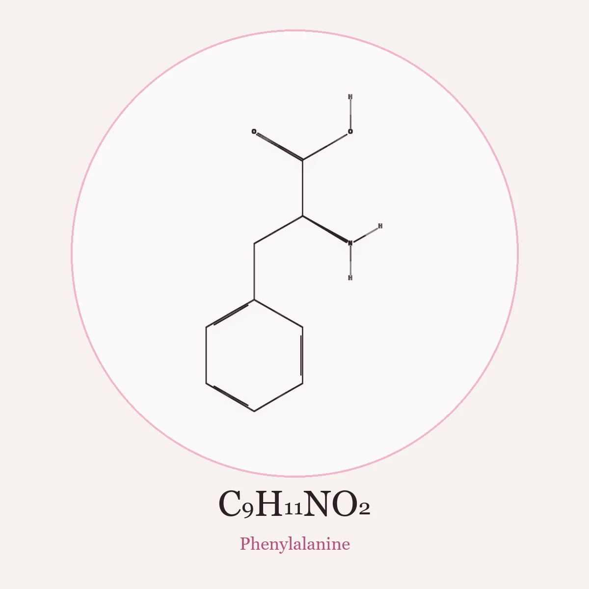 Chemical structure of Phenylalanine
