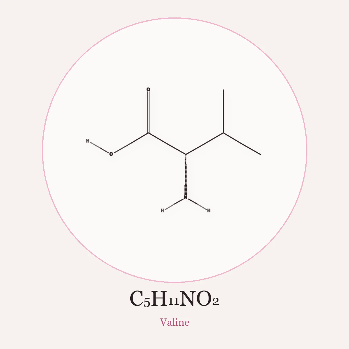 Chemical structure of Valine