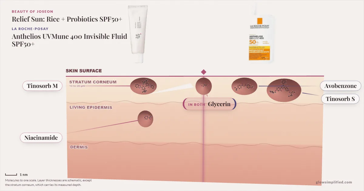 Beauty of Joseon Relief Sun: Rice + Probiotics SPF50+ and La Roche-Posay Anthelios UVMune 400 Invisible Fluid SPF50+: their molecules drawn in one cross-section of skin, shared ingredients on the seam