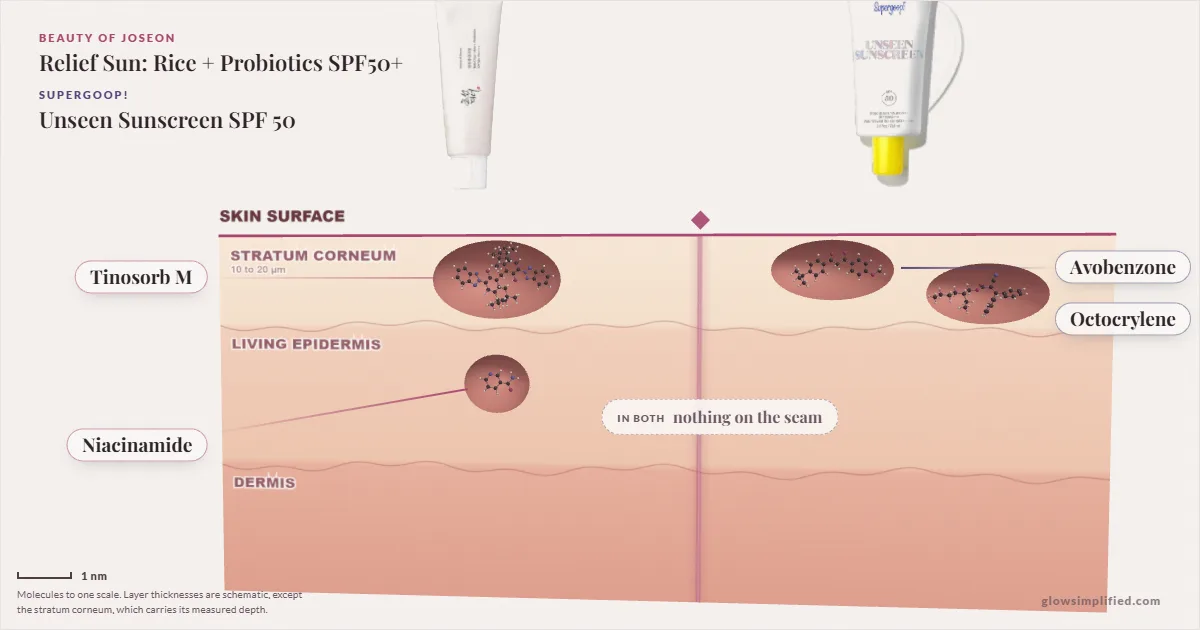 Beauty of Joseon Relief Sun: Rice + Probiotics SPF50+ and Supergoop! Unseen Sunscreen SPF 50: their molecules drawn in one cross-section of skin, shared ingredients on the seam
