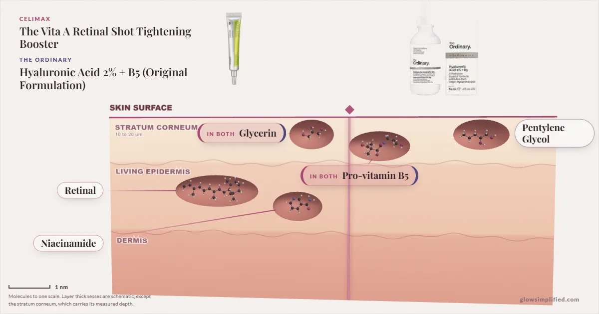 Celimax The Vita A Retinal Shot Tightening Booster and The Ordinary Hyaluronic Acid 2% + B5 (Original Formulation): their molecules drawn in one cross-section of skin, shared ingredients on the seam