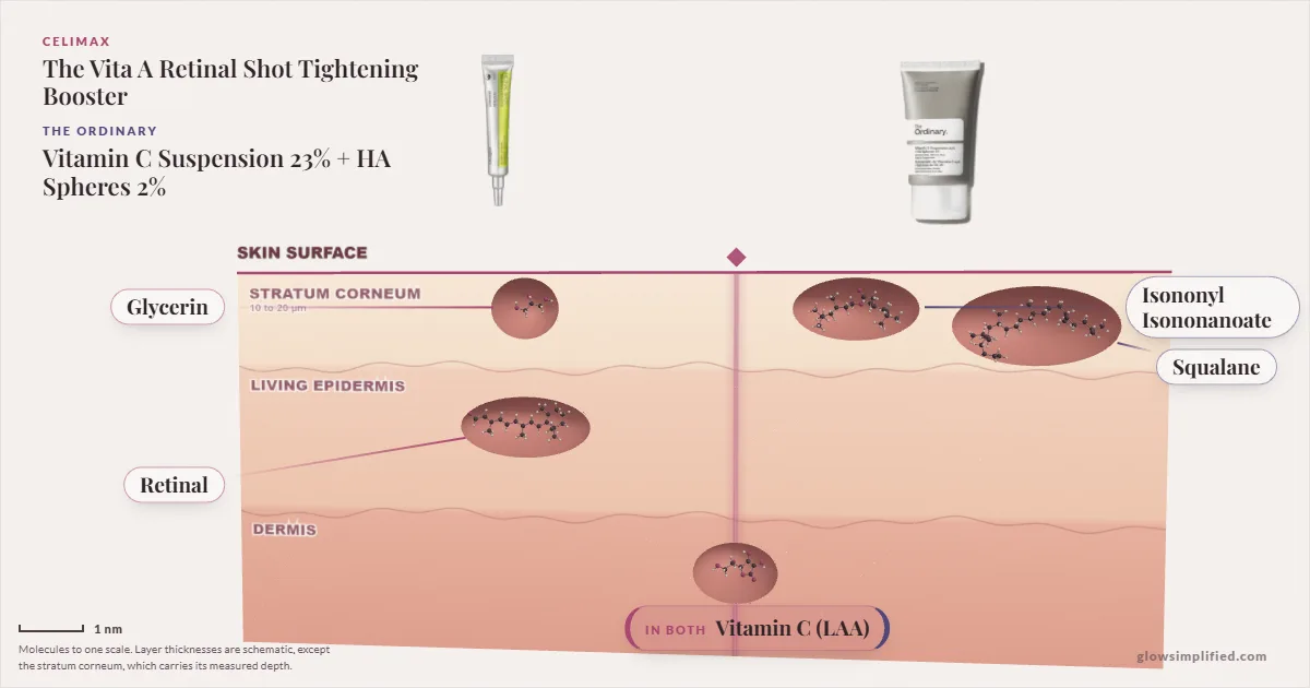 Celimax The Vita A Retinal Shot Tightening Booster and The Ordinary Vitamin C Suspension 23% + HA Spheres 2%: their molecules drawn in one cross-section of skin, shared ingredients on the seam