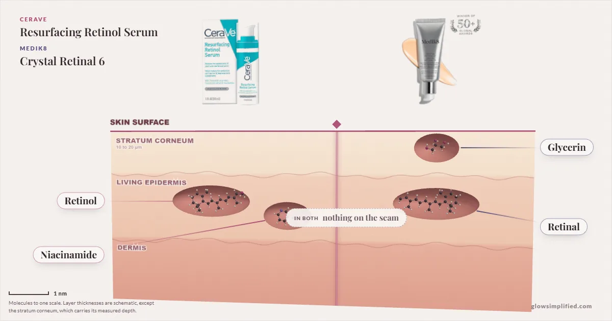 CeraVe Resurfacing Retinol Serum and Medik8 Crystal Retinal 6: their molecules drawn in one cross-section of skin, shared ingredients on the seam
