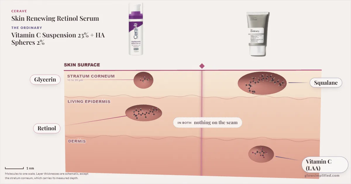 CeraVe Skin Renewing Retinol Serum and The Ordinary Vitamin C Suspension 23% + HA Spheres 2%: their molecules drawn in one cross-section of skin, shared ingredients on the seam
