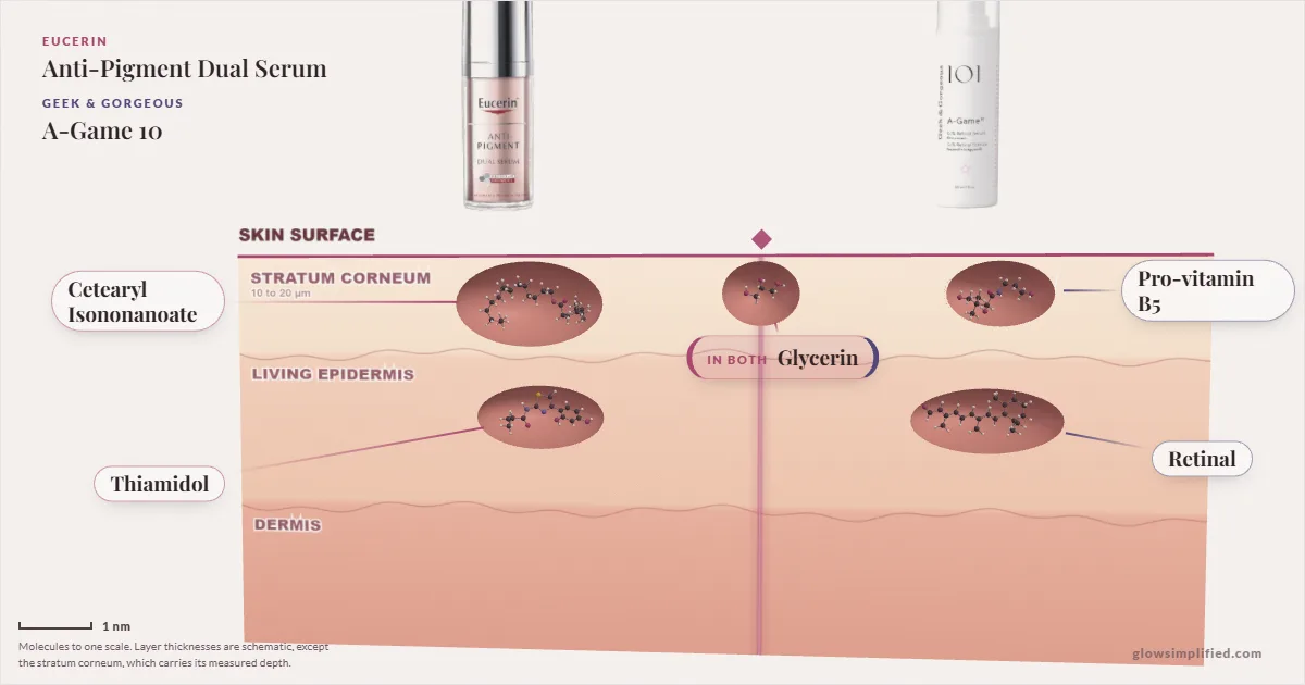 Eucerin Anti-Pigment Dual Serum and Geek & Gorgeous A-Game 10: their molecules drawn in one cross-section of skin, shared ingredients on the seam