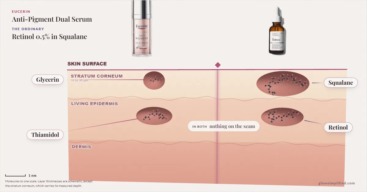 Eucerin Anti-Pigment Dual Serum and The Ordinary Retinol 0.5% in Squalane: their molecules drawn in one cross-section of skin, shared ingredients on the seam