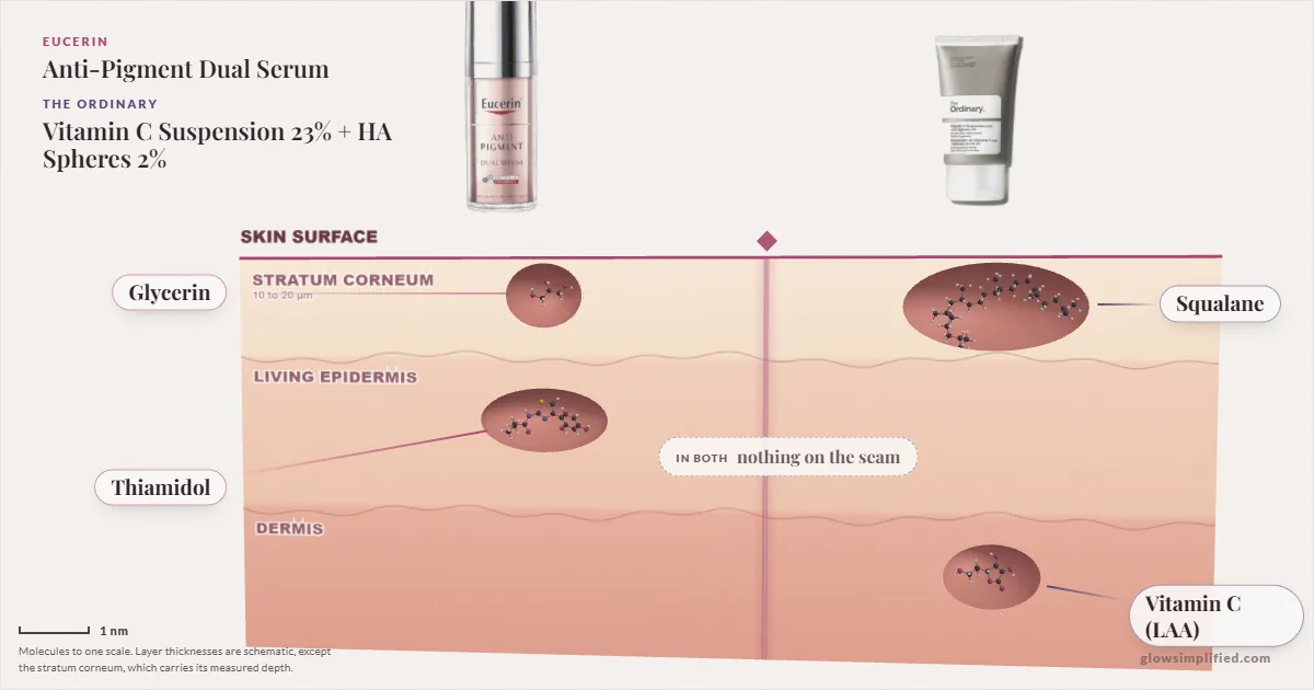 Eucerin Anti-Pigment Dual Serum and The Ordinary Vitamin C Suspension 23% + HA Spheres 2%: their molecules drawn in one cross-section of skin, shared ingredients on the seam