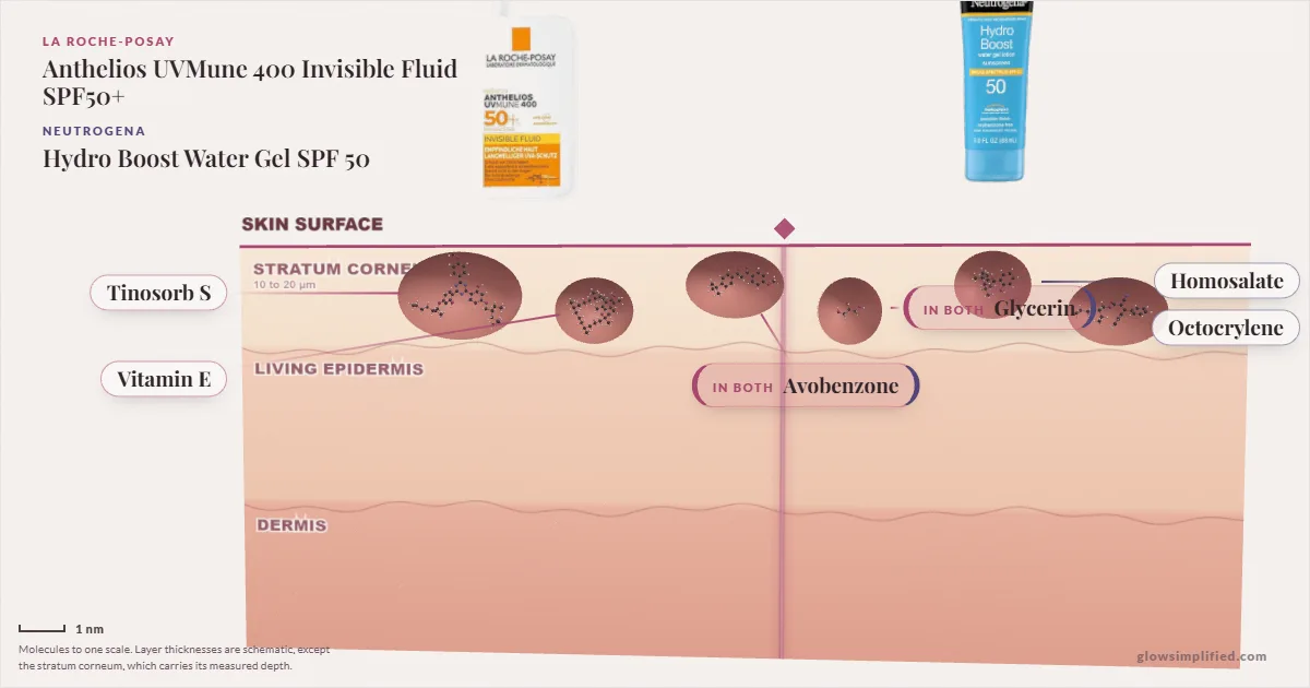 La Roche-Posay Anthelios UVMune 400 Invisible Fluid SPF50+ and Neutrogena Hydro Boost Water Gel SPF 50: their molecules drawn in one cross-section of skin, shared ingredients on the seam
