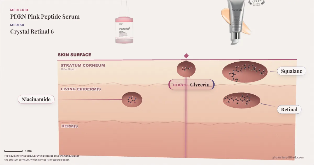 Medicube PDRN Pink Peptide Serum and Medik8 Crystal Retinal 6: their molecules drawn in one cross-section of skin, shared ingredients on the seam