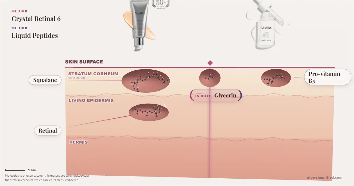 Medik8 Crystal Retinal 6 and Medik8 Liquid Peptides: their molecules drawn in one cross-section of skin, shared ingredients on the seam