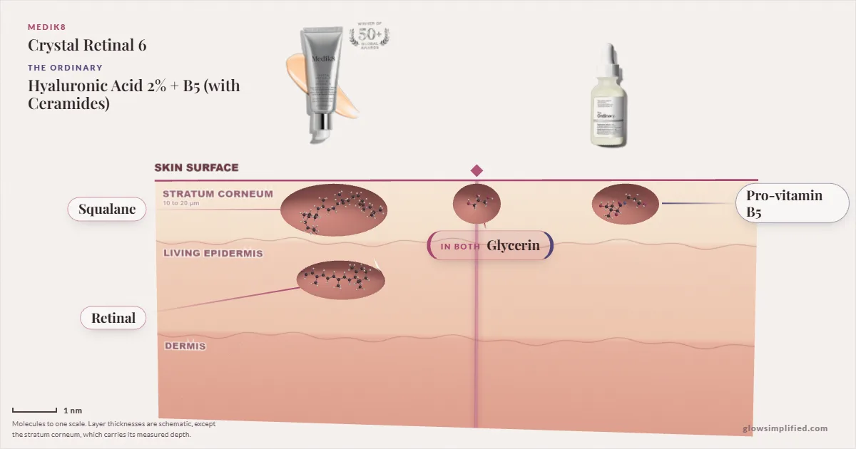 Medik8 Crystal Retinal 6 and The Ordinary Hyaluronic Acid 2% + B5 (with Ceramides): their molecules drawn in one cross-section of skin, shared ingredients on the seam