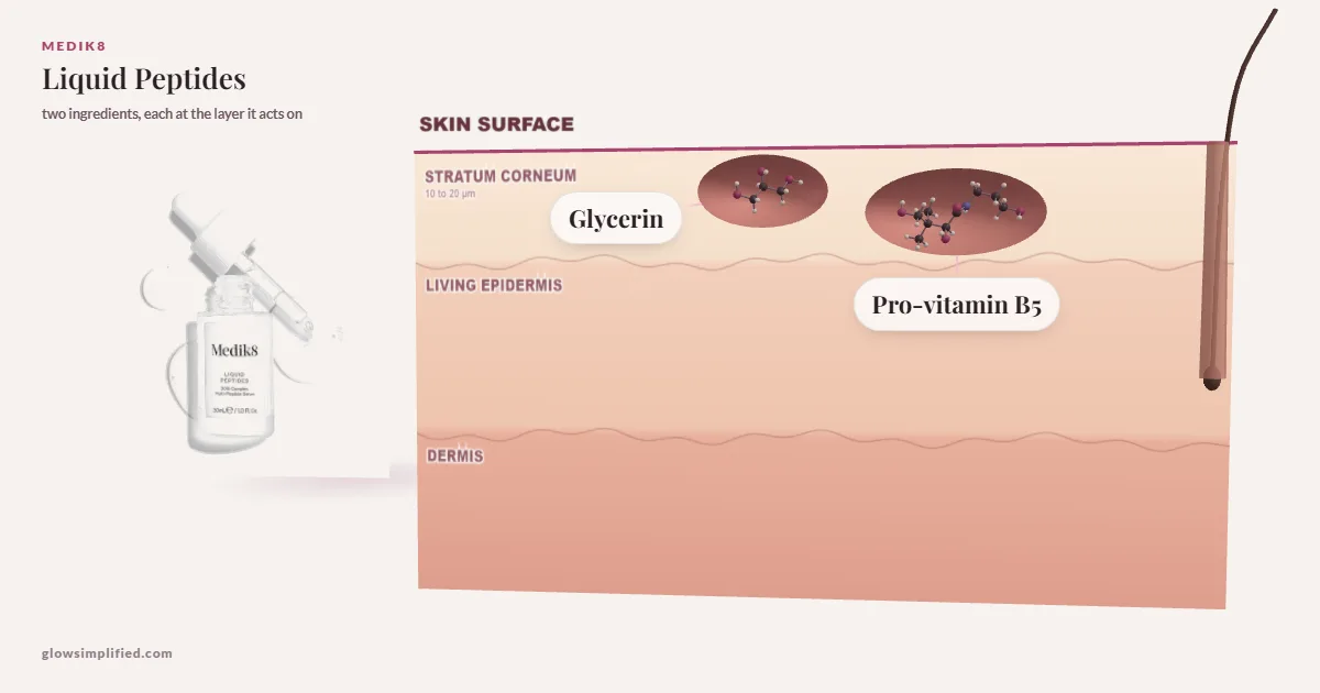 Medik8 Liquid Peptides: Glycerin, Pro-vitamin B5 drawn in a cross-section of skin, each at the layer it acts on