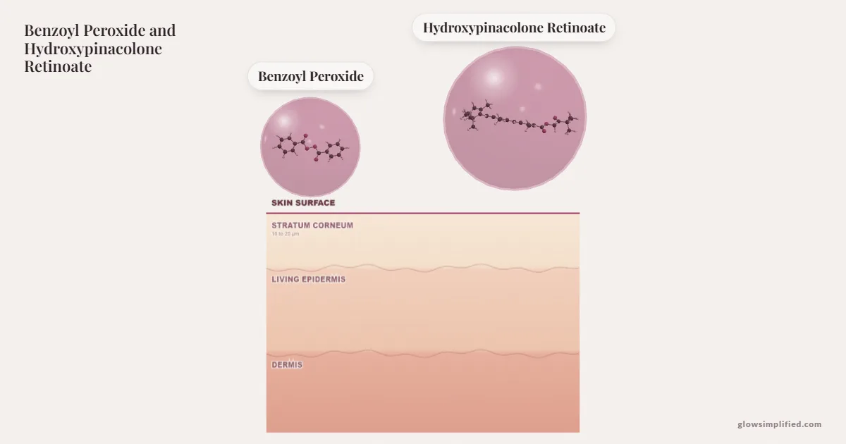 Benzoyl Peroxide and Hydroxypinacolone Retinoate meeting on a cross-section of skin