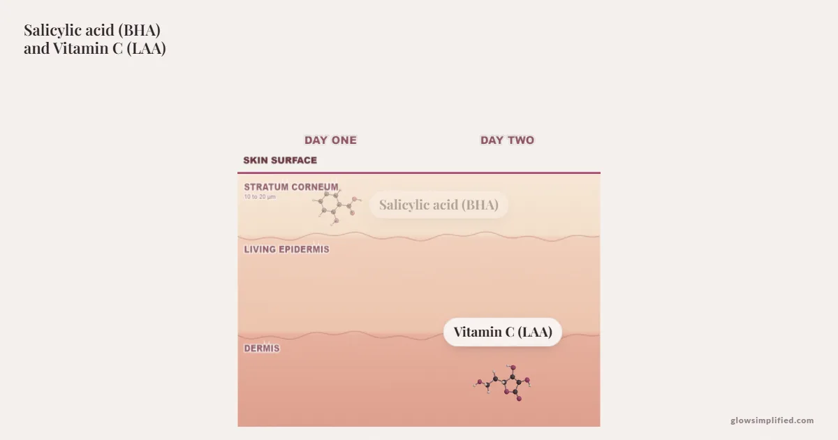 Salicylic acid (BHA) and Vitamin C (LAA) meeting on a cross-section of skin