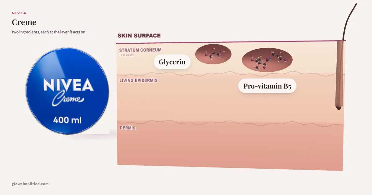 NIVEA Creme: Glycerin, Pro-vitamin B5 drawn in a cross-section of skin, each at the layer it acts on