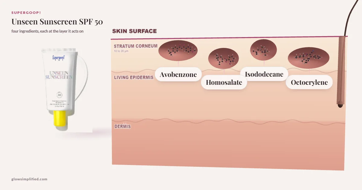Supergoop! Unseen Sunscreen SPF 50: Avobenzone, Homosalate, Isododecane, Octocrylene drawn in a cross-section of skin, each at the layer it acts on